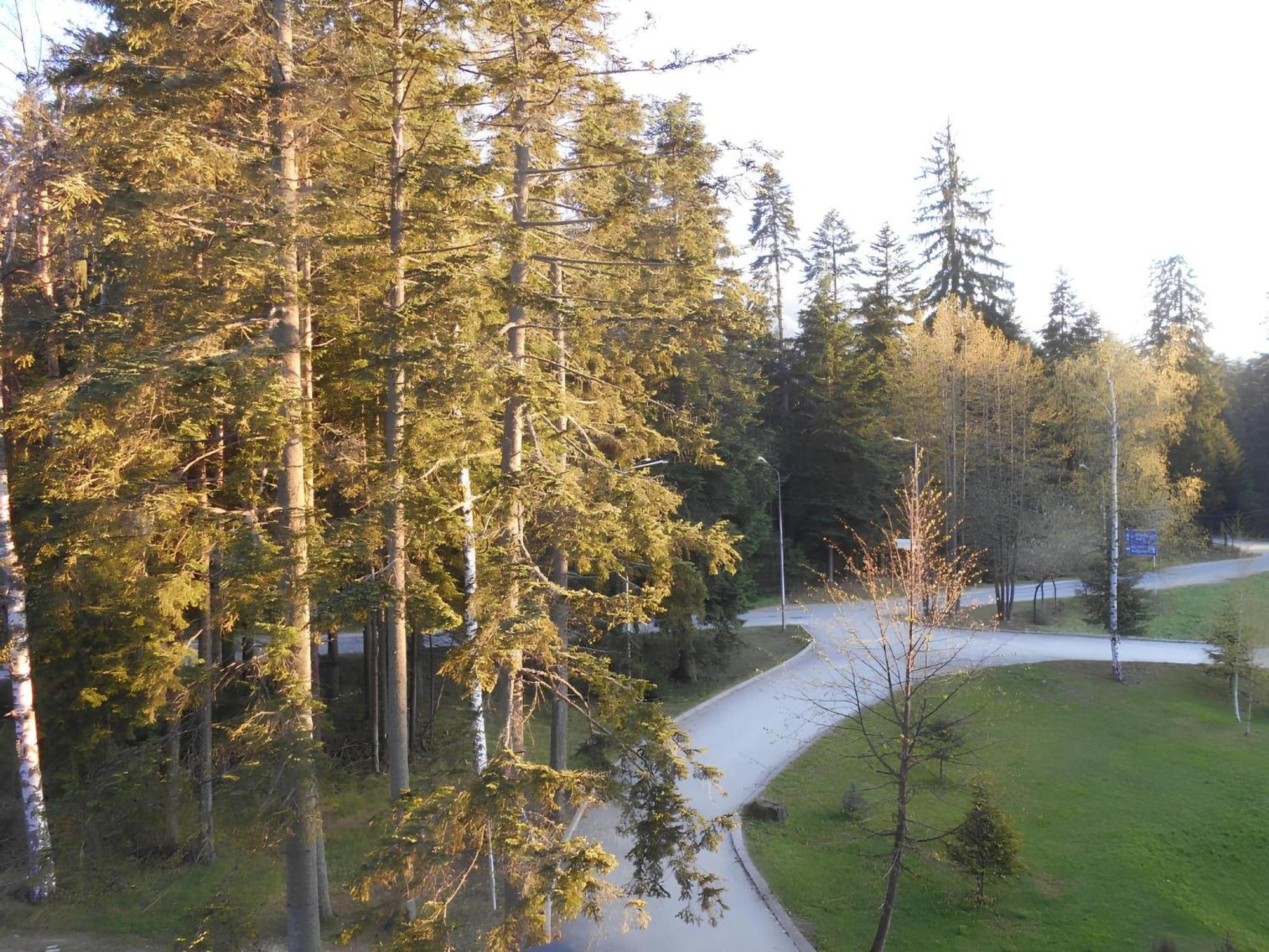 Neat Studios In "Borovets Gardens" Hotel Exteriér fotografie